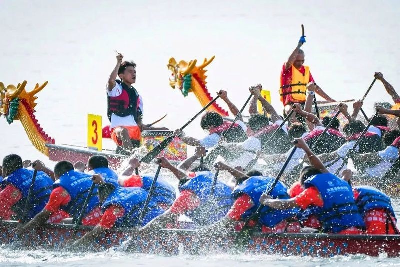 如何準備龍魚參加比賽？