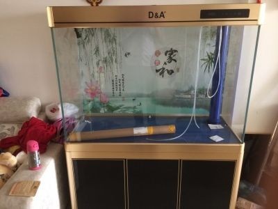 德國德克魚缸設計哲學德克魚缸設計理念強調顧客至上：德國德克魚缸的發展前景如何？