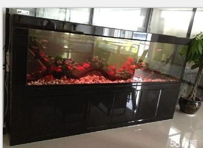 【58同城】魚缸維修（58同城】魚缸維修服務詳解）