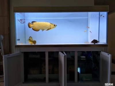 【58同城】魚缸維修（58同城】魚缸維修服務詳解）