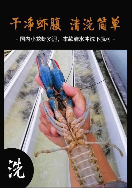 如何申報(bào)長(zhǎng)城杯工程？