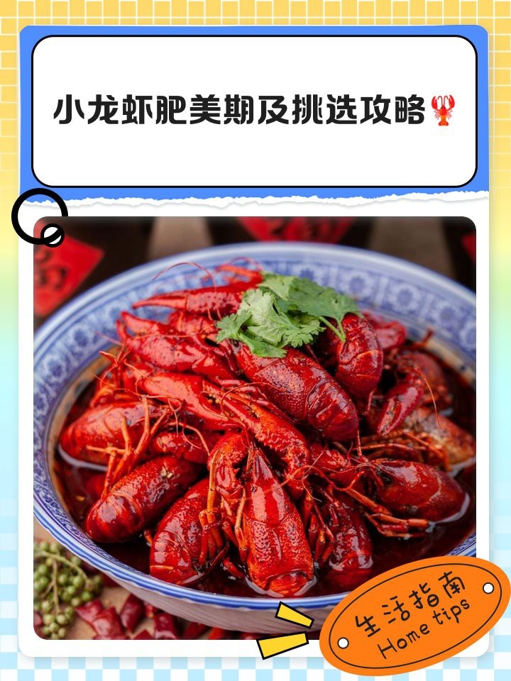 如何申報(bào)長(zhǎng)城杯工程？