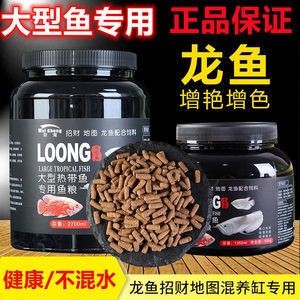 龍魚吃什么最好增色快：龍魚的飲食選擇及注意事項
