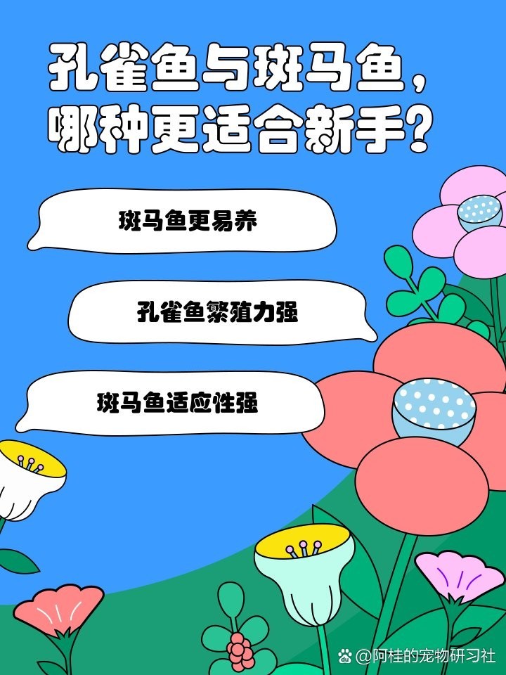 孔雀魚和斑馬魚哪個(gè)更好養(yǎng)？