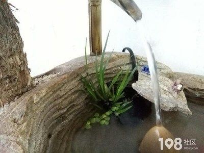 魚缸放石頭的注意事項(xiàng)有哪些？：風(fēng)水學(xué)中的魚缸布局