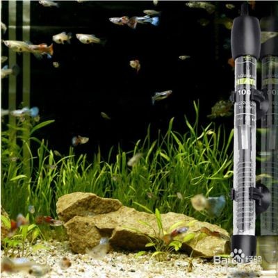 魚缸加熱棒怎么用？魚缸加熱棒使用注意事項(xiàng)：魚缸加熱棒正確使用方法和注意事項(xiàng)是確保魚類健康生長(zhǎng)的關(guān)鍵