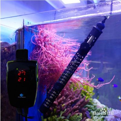 魚缸加熱棒怎么用？魚缸加熱棒使用注意事項：魚缸加熱棒正確使用方法和注意事項是確保魚類健康生長的關鍵