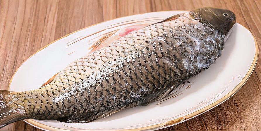 七斤大鯉魚最正宗的做法視頻