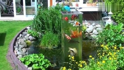 響水縣響水鎮嘉嘉水族館（響水縣響水鎮嘉嘉水族館電話）