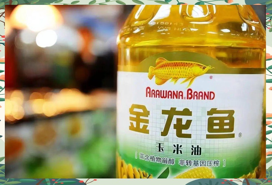金龍魚創(chuàng)始人