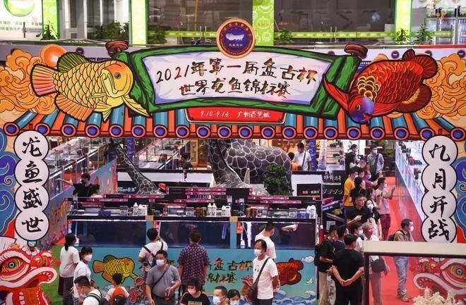 龍魚(yú)錦標(biāo)賽的歷史和發(fā)展