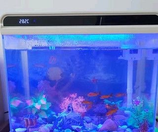 森森魚缸魚缸底是藍(lán)色玻璃嗎：森森魚缸材質(zhì)與價格關(guān)系,如何辨別魚缸玻璃質(zhì)量 森森魚缸魚缸底是藍(lán)色玻璃嗎：森森魚缸材質(zhì)與價格關(guān)系,如何辨別魚缸玻璃質(zhì)量 魚缸百科 第2張