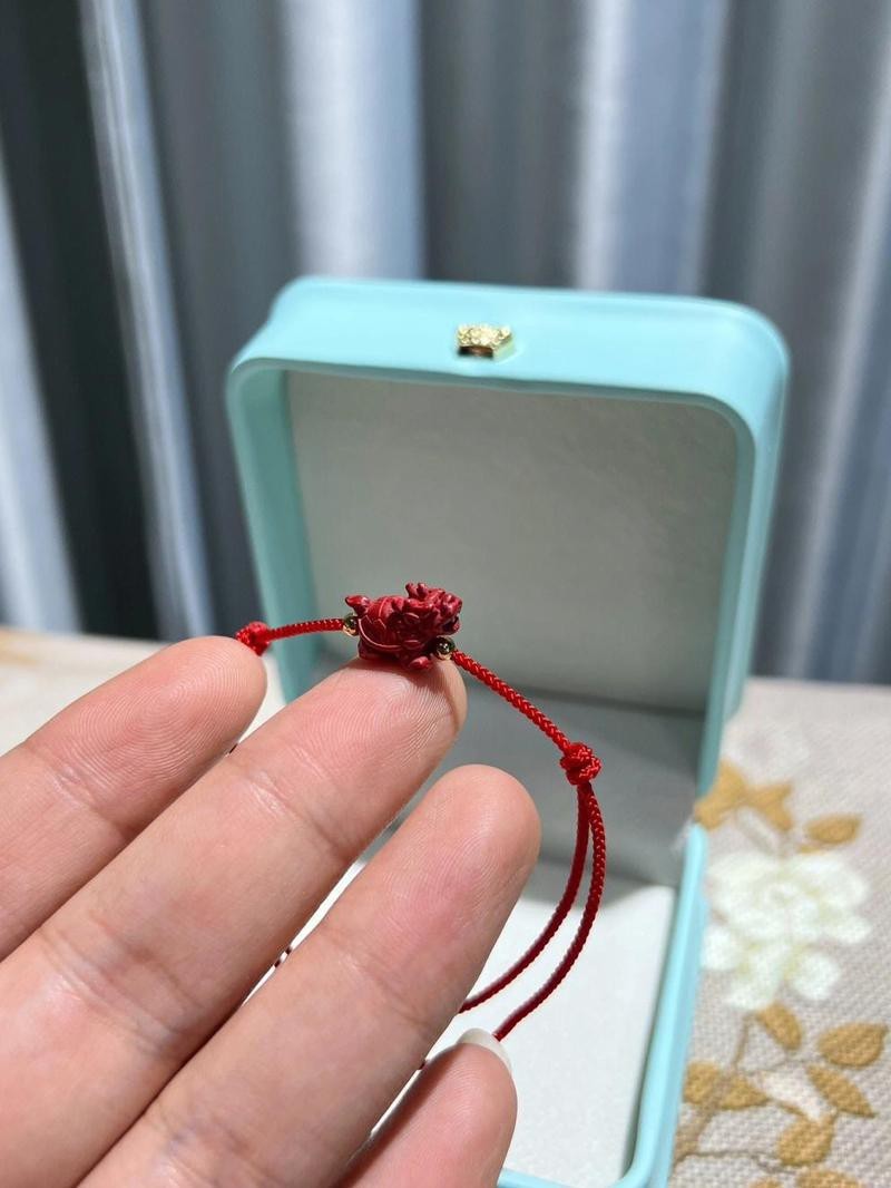 龍龜戴在手腕上嘴朝哪 龍龜戴在手腕上嘴朝哪 龍魚論壇 第1張