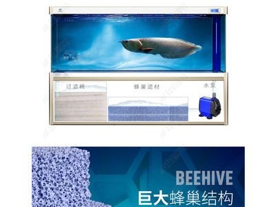 魚缸寵物大全：家庭水族箱養殖技巧