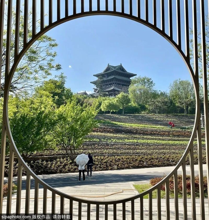 哪些長(zhǎng)城段允許寵物進(jìn)入? 2025長(zhǎng)城杯龍魚大賽 第17張 哪些長(zhǎng)城段允許寵物進(jìn)入? 哪些長(zhǎng)城段允許寵物進(jìn)入? 2025長(zhǎng)城杯龍魚大賽 第17張