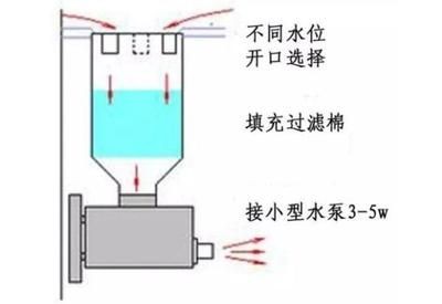 魚缸的泵怎么拆洗：魚缸水泵的拆卸和清洗方法