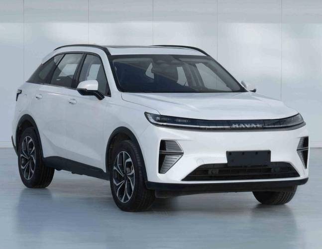 長城梟龍max圖片 長城梟龍max圖片 2025長城杯龍魚大賽 第19張