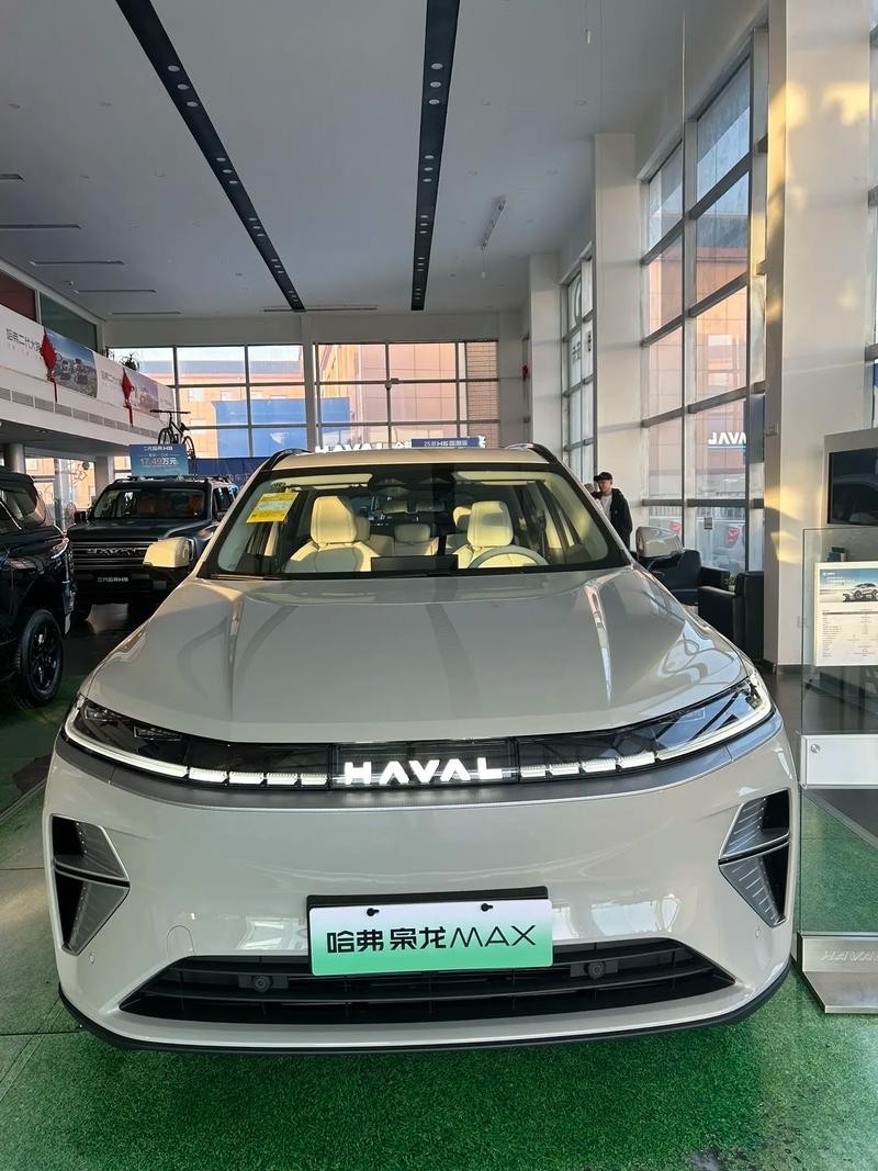 長城梟龍max圖片 長城梟龍max圖片 2025長城杯龍魚大賽 第14張