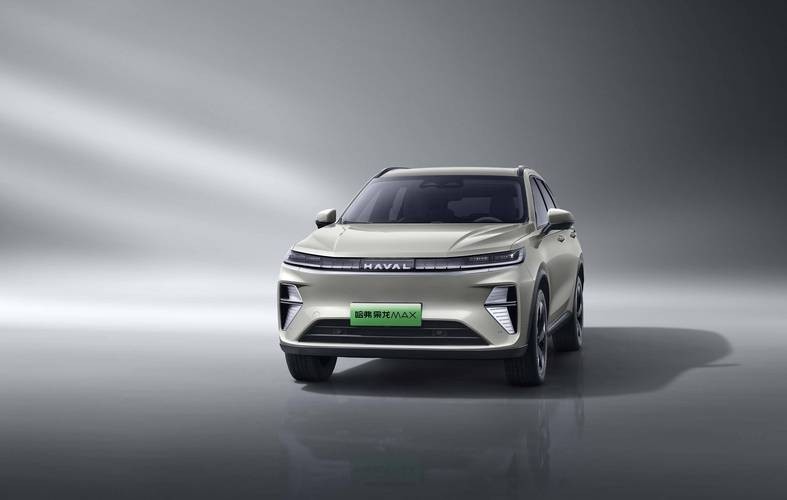 長城梟龍max圖片 長城梟龍max圖片 2025長城杯龍魚大賽 第17張