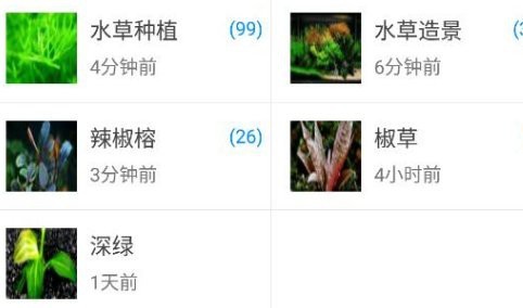 南美水族論壇app怎么打不開