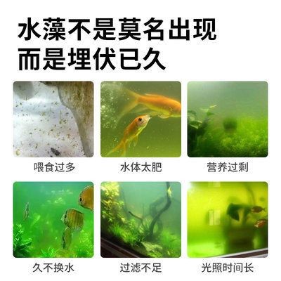 魚缸除藻劑的使用方法：如何自制魚缸除藻劑，魚缸除藻劑對魚的影響