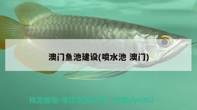 廣州市荔灣區東盈魚池用品經營部（廣州市荔灣區東盈魚池用品經營部電話）