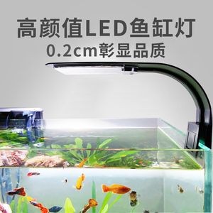 紅色魚缸燈怎么選魚缸燈怎么選魚缸燈：紅色的魚缸燈是什么 紅色魚缸燈怎么選魚缸燈怎么選魚缸燈：紅色的魚缸燈是什么 魚缸百科 第3張