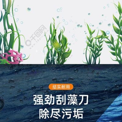哪種魚缸刷好用:如何選擇一款合適的魚缸刷 魚缸百科 第4張 哪種魚缸刷好用:如何選擇一款合適的魚缸刷 哪種魚缸刷好用:如何選擇一款合適的魚缸刷 魚缸百科 第4張