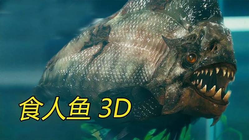 龍魚被吃掉視頻有2000字描述嗎？