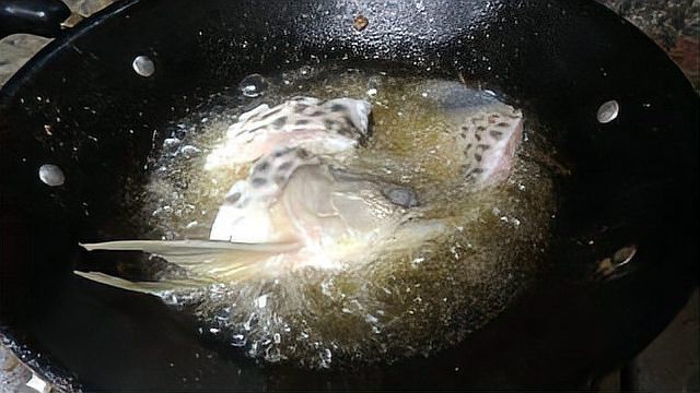 龍魚被吃掉視頻有2000字描述嗎？