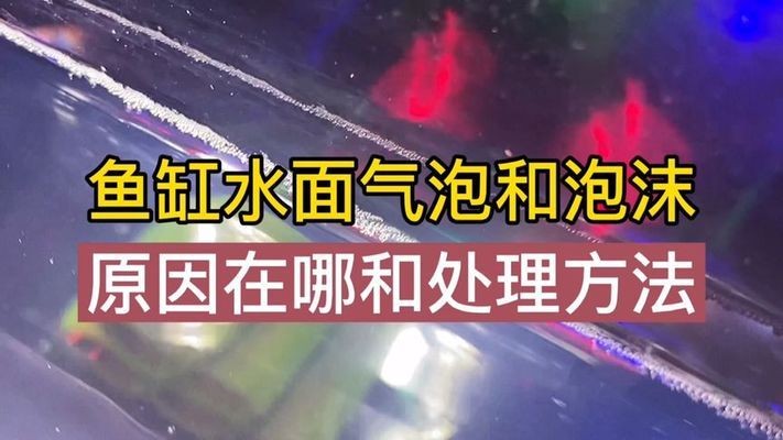 飼料 魚缸水突然渾濁怎樣快速解決(魚缸水渾濁怎么辦) 魚缸百科 魚缸水突然渾濁怎樣快速解決(魚缸水渾濁怎么辦) 魚缸水突然渾濁怎樣快速解決(魚缸水渾濁怎么辦) 魚缸百科