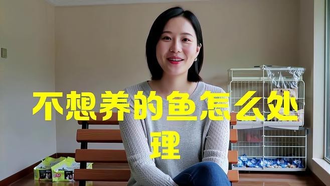龍魚不養了應該怎么處理？