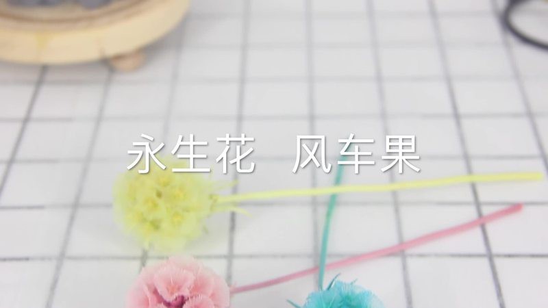 風車果天然風干花束
