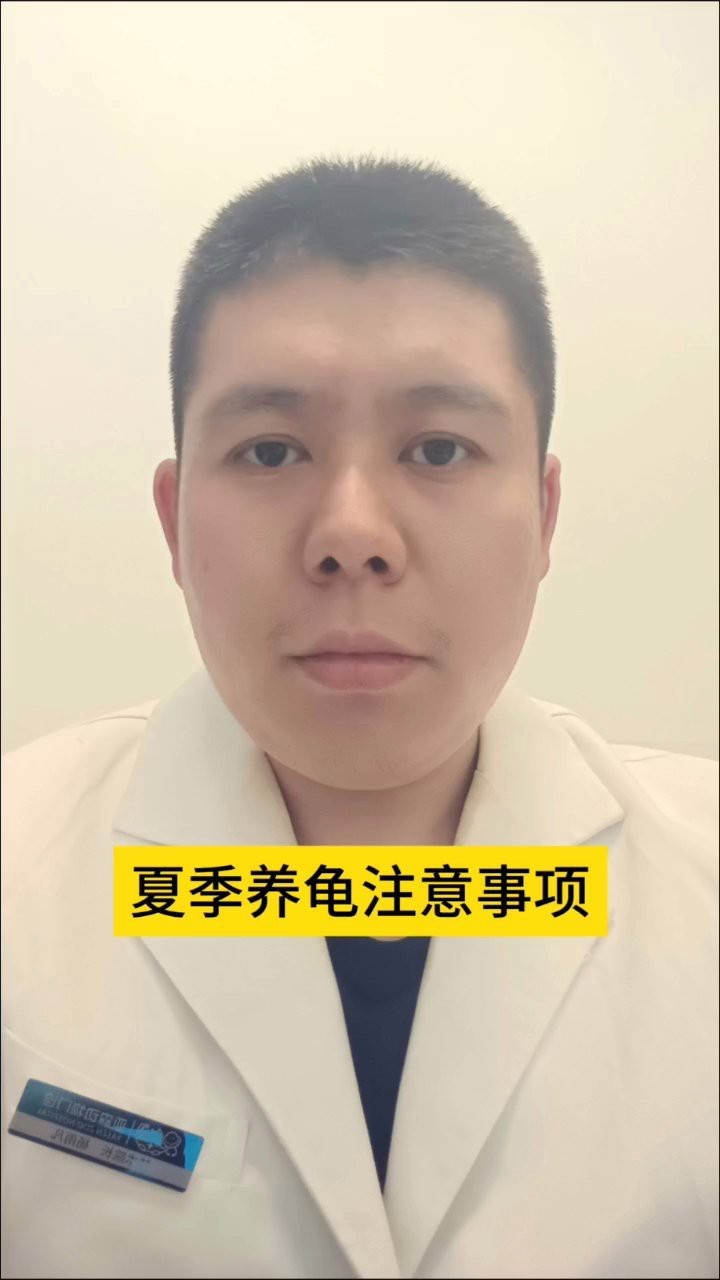 母子龍龜如何清潔和保養？ 母子龍龜如何清潔和保養？ 龍魚百科 第5張
