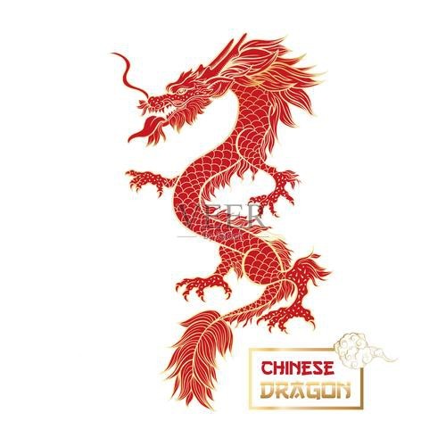 哪里可以找到更多紅龍壁紙？ 哪里可以找到更多紅龍壁紙？ 龍魚百科 第9張