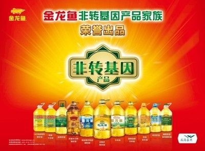 龍魚發色秘訣視頻大全：龍魚發色的秘訣
