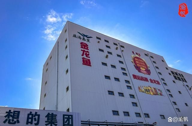 龍魚發(fā)色秘訣視頻大全：龍魚發(fā)色的秘訣