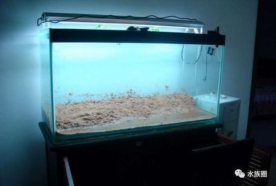 魚缸水質管理的具體方法：魚缸水質管理方法 魚缸水質管理的具體方法：魚缸水質管理方法 魚缸百科 第5張