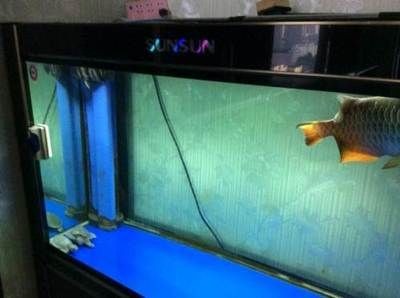 哈爾濱森森魚缸專賣店電話地址，哈爾濱森森魚缸專賣店