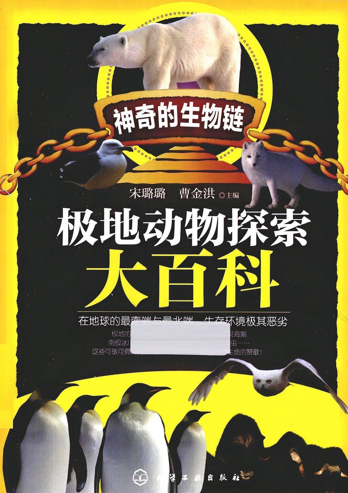 海象天敵是什么動物 海象天敵是什么動物 龍魚論壇 第15張