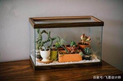 花卉市場魚缸設計揭秘花卉市場魚缸設計揭秘魚缸價格信息：花卉市場的魚缸設計