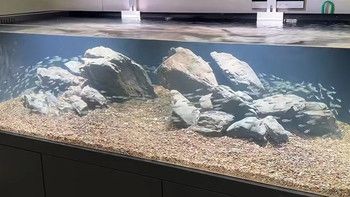 放水草泥到底濾魚(yú)缸是涉及到魚(yú)缸維護(hù)和水草生長(zhǎng)的過(guò)程：底濾魚(yú)缸的日常維護(hù)和保養(yǎng)