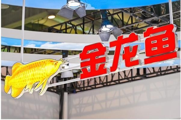 海州區(qū)晨翔觀賞魚經(jīng)營(yíng)部(海州區(qū)晨翔觀賞魚經(jīng)營(yíng)部地址)