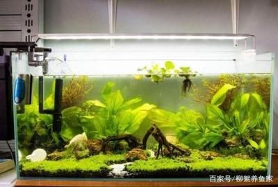 魚缸底濾魚缸與空氣缸原理底濾魚缸空氣缸制作方法：底濾魚缸與空氣缸空氣缸制作方法