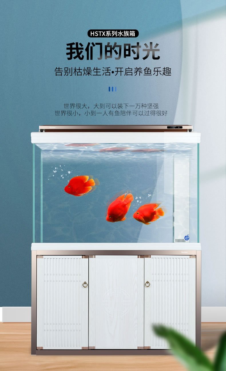 哪種龍魚體形最小