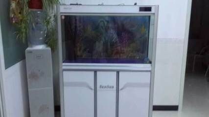 小魚牌魚缸：小魚牌魚缸品牌排行榜