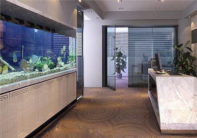 小魚牌魚缸：小魚牌魚缸品牌排行榜
