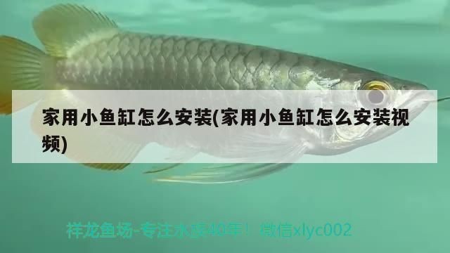 萌趣小魚缸怎么安裝視頻：萌趣小魚缸安裝圖文教程