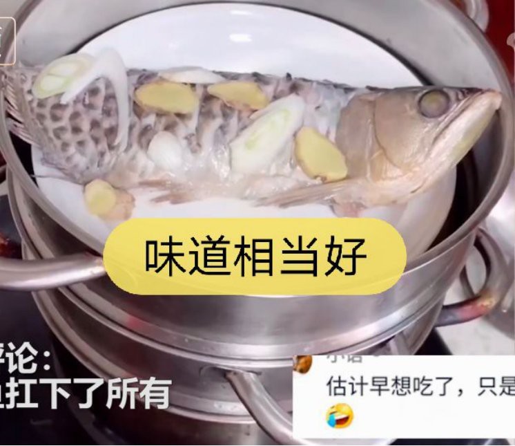 石家莊金龍魚做菜怎么樣呀