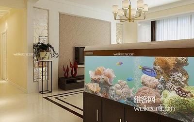 公司風(fēng)水魚(yú)缸擺放位置（公司風(fēng)水魚(yú)缸擺放位置風(fēng)水作用）